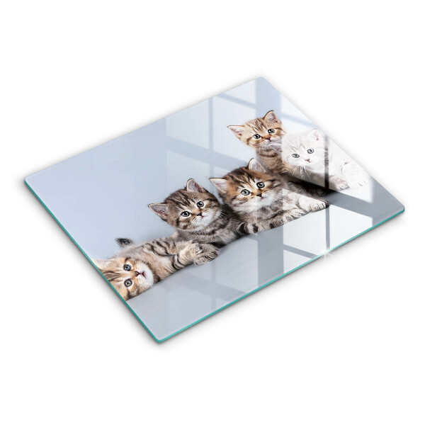 Chopping board glass Sweet small cats