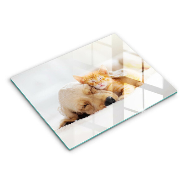 Chopping board glass Animals dog and cat