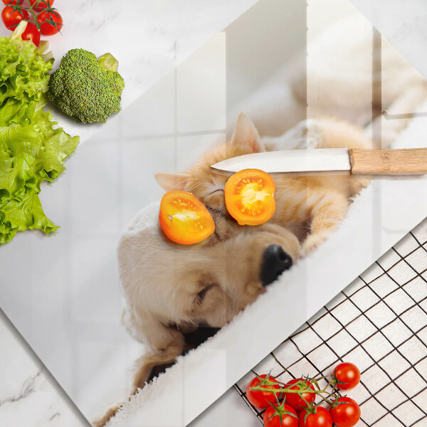 Chopping board glass Animals dog and cat