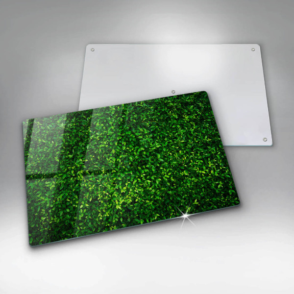 Glass kitchen board Plant small leaves