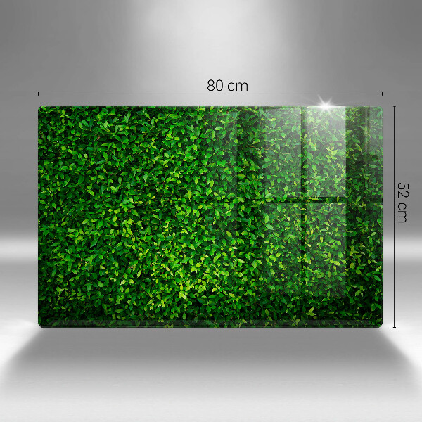 Glass kitchen board Plant small leaves