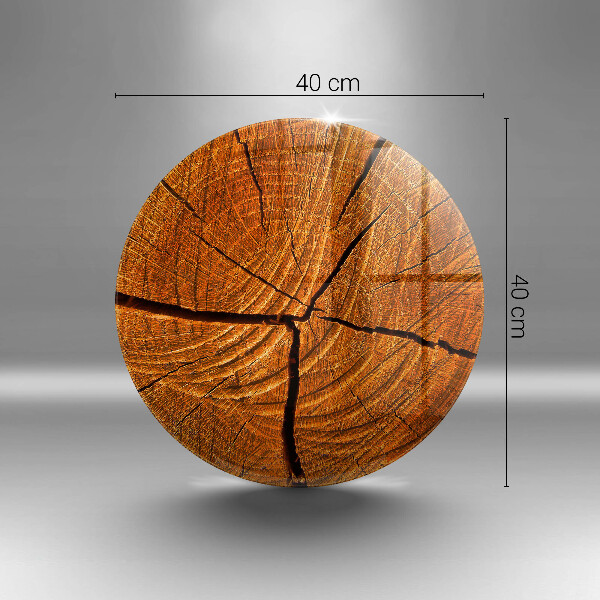 Glass worktop saver Wood trunk structure