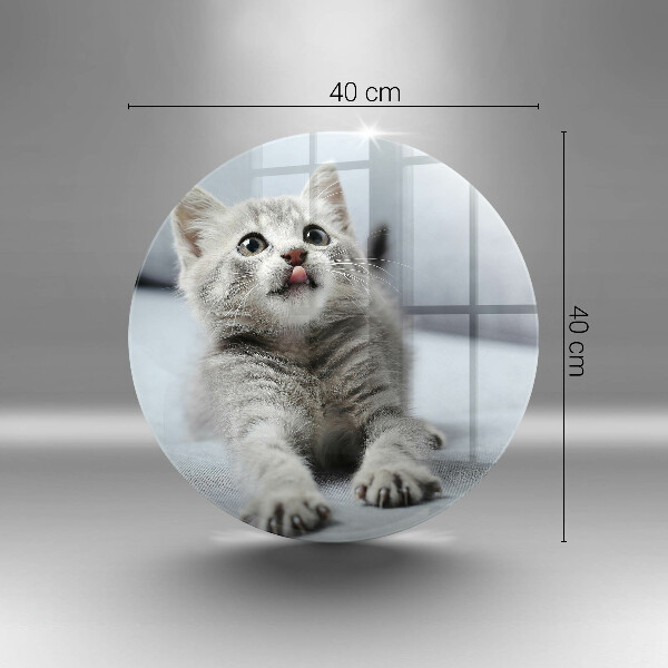 Glass worktop protector Little cute kitty