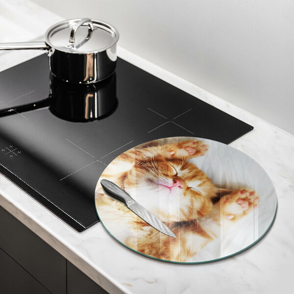 Glass worktop saver Little sweet kitty