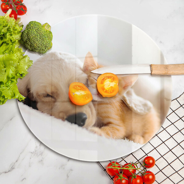 Kitchen worktop protector Animals dog and cat