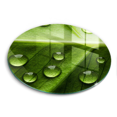 Glass worktop saver Nature Rosa and Leaf