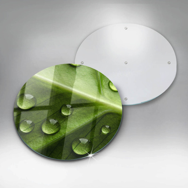 Glass worktop saver Nature Rosa and Leaf