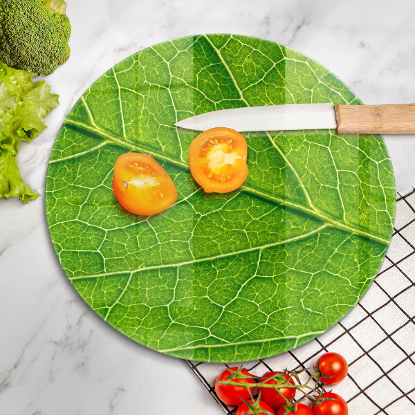 Glass worktop protector Leaf lines nature