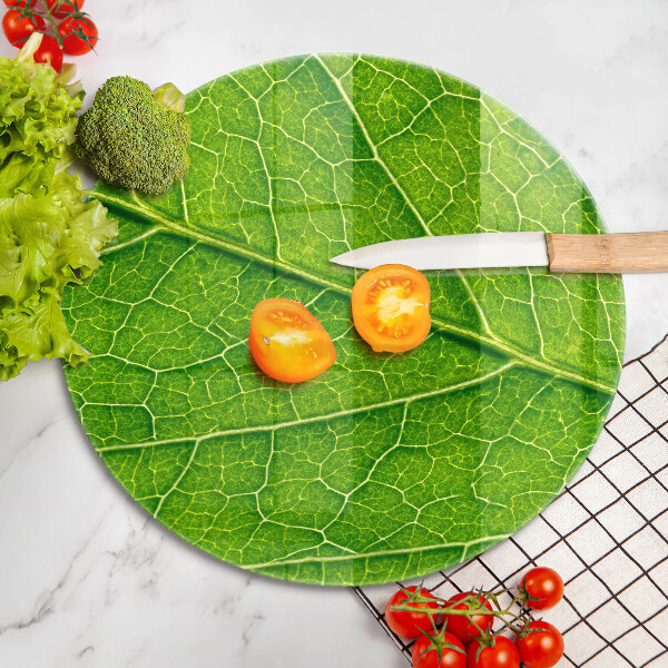 Glass worktop protector Leaf lines nature