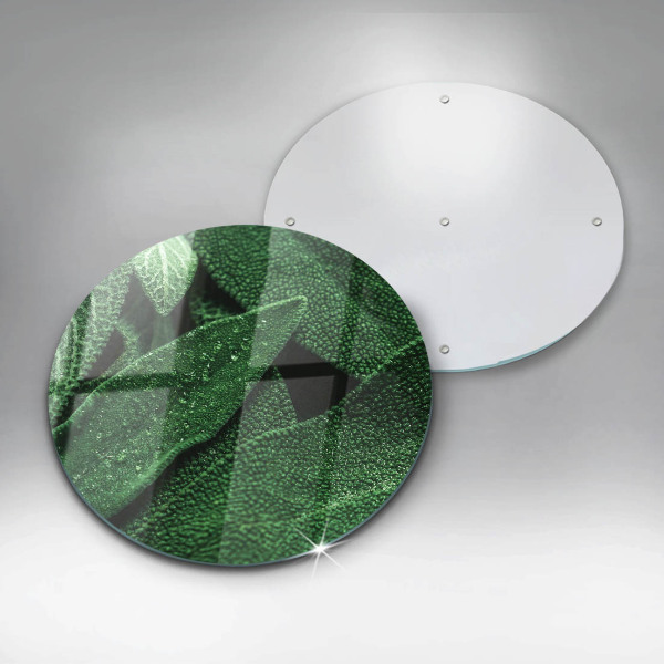 Glass worktop protector Plant leaves