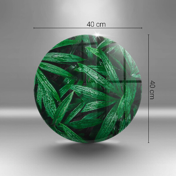 Cutting board Plants leaves