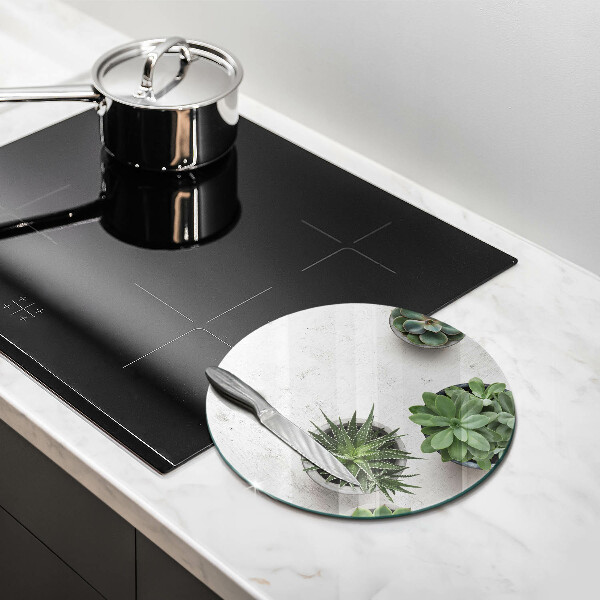 Chopping board glass Succulents on concrete