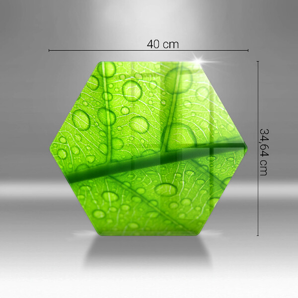 Glass kitchen board Leaf closer