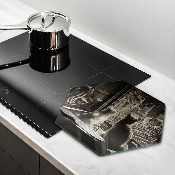Kitchen worktop protector Cats city and window