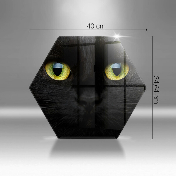 Kitchen worktop protector Animal cat eyes
