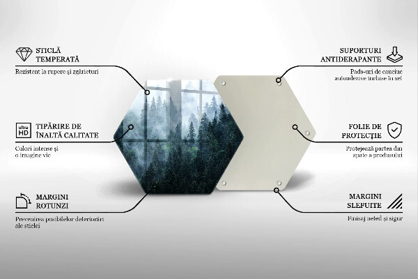 Chopping board glass Forest of trees and fog