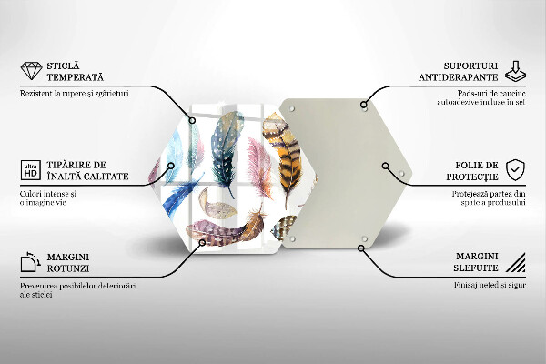 Chopping board glass Colorful bird feathers