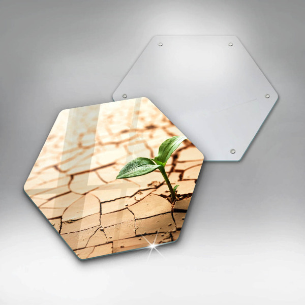 Kitchen worktop protector Lonely plant