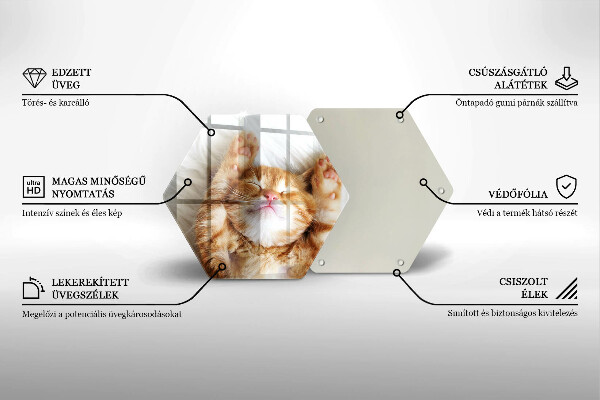 Kitchen worktop protector Little sweet kitty