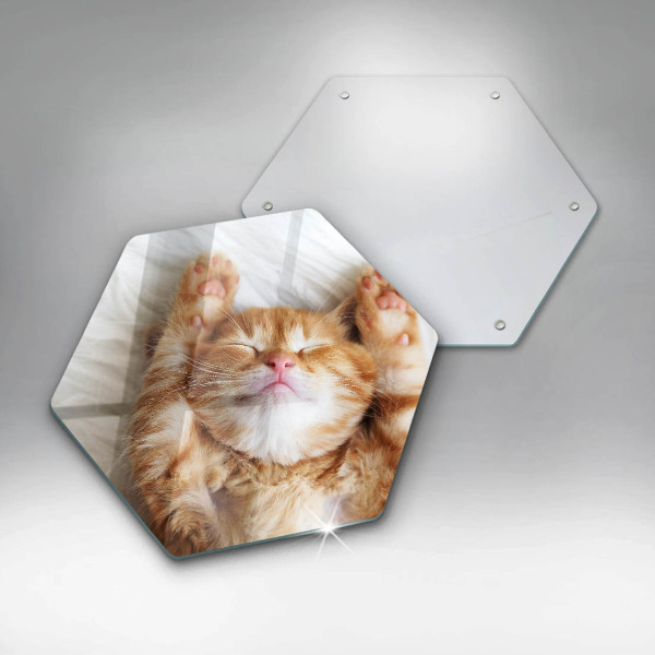 Kitchen worktop protector Little sweet kitty