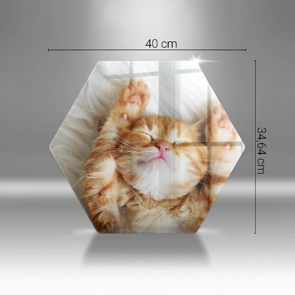 Kitchen worktop protector Little sweet kitty