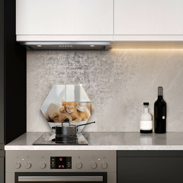 Chopping board glass Animals dog and cat