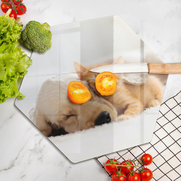Chopping board glass Animals dog and cat