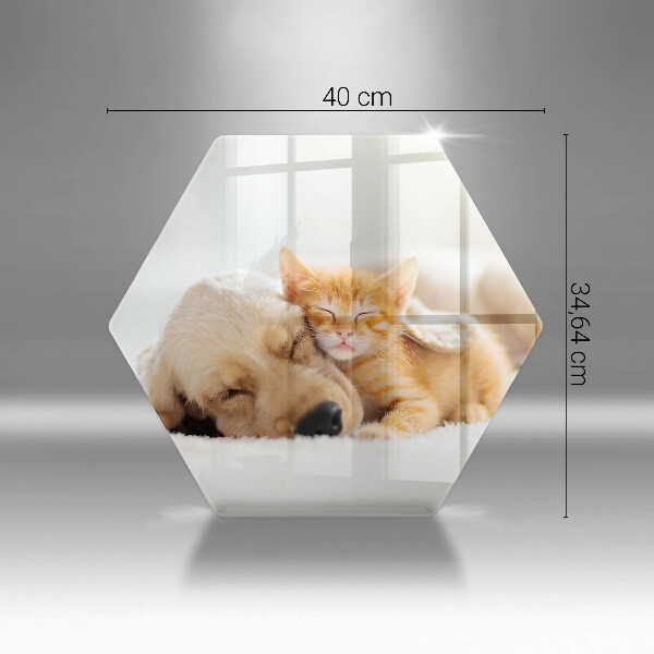 Chopping board glass Animals dog and cat