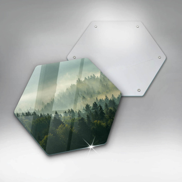 Kitchen worktop protector Landscape view of the forest