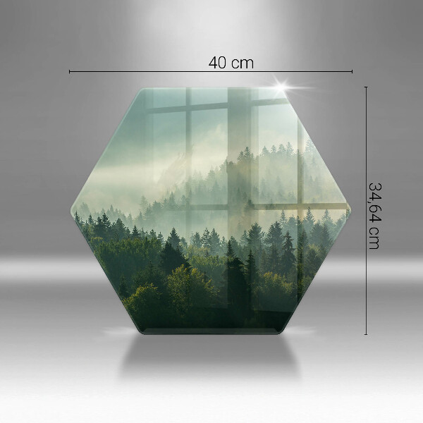 Kitchen worktop protector Landscape view of the forest