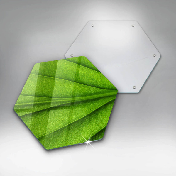 Kitchen worktop protector Nature leaf veins