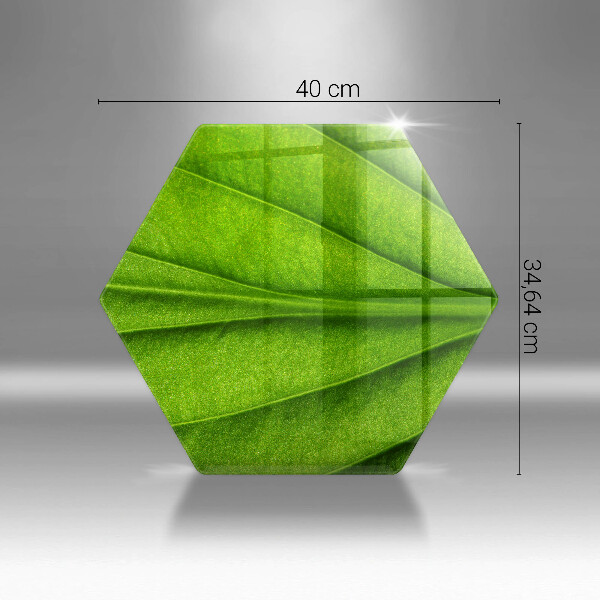 Kitchen worktop protector Nature leaf veins