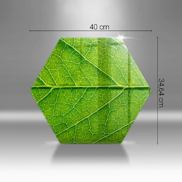 Kitchen worktop protector Leaf lines nature