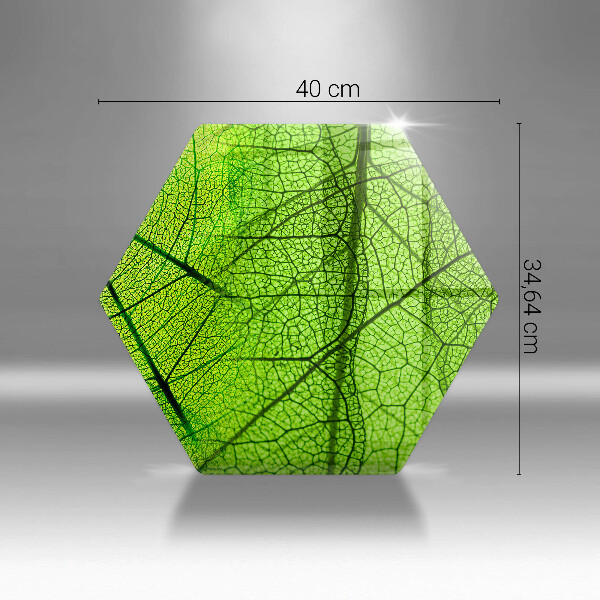 Kitchen worktop protector Natura leaves