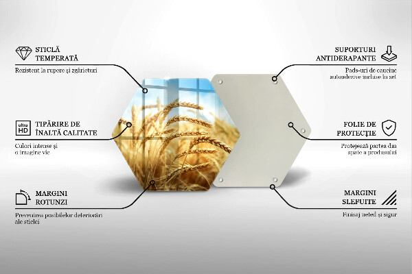 Chopping board glass Cereals in the field