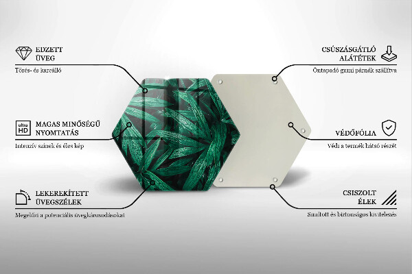 Chopping board glass Plants leaves