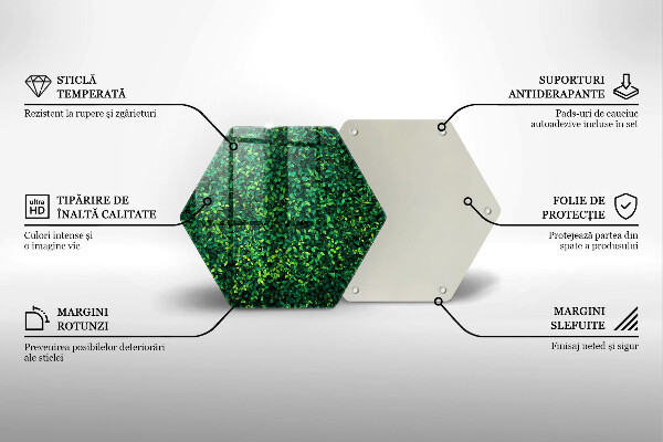 Chopping board glass Plant small leaves