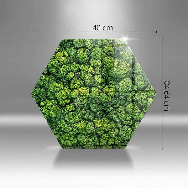 Glass chopping board Nature - moss plant