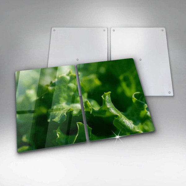 Kitchen worktop saver Lettuce leaves