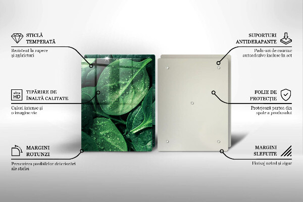 Kitchen worktop saver Basil leaves