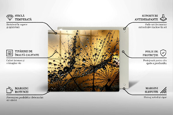 Work surface savers Rosa and dandelions