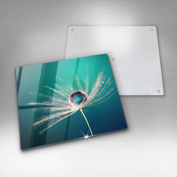 Glass worktop saver Dew on a dandelion