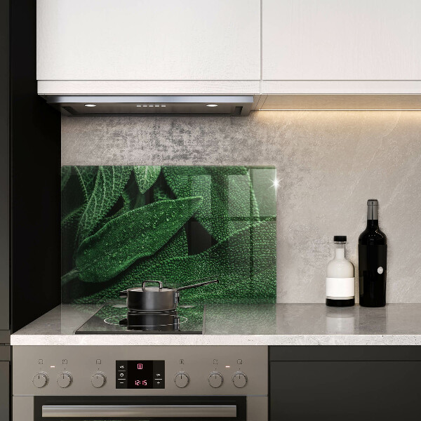 Induction hob protector Plant leaves