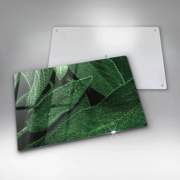 Induction hob protector Plant leaves