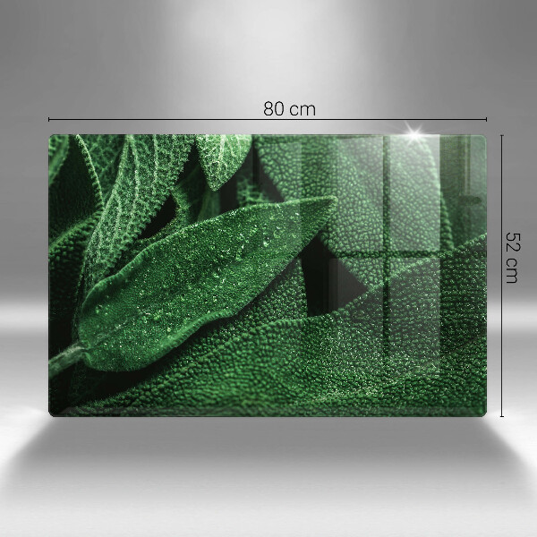 Induction hob protector Plant leaves