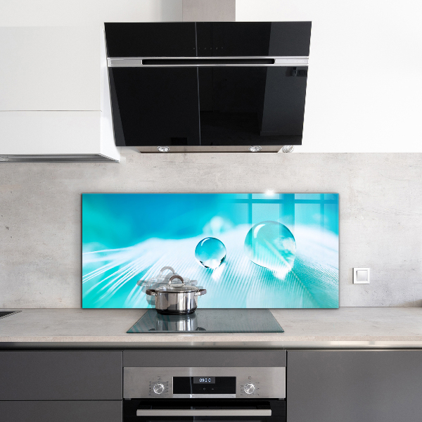 Kitchen splashback Dew on delicate feather