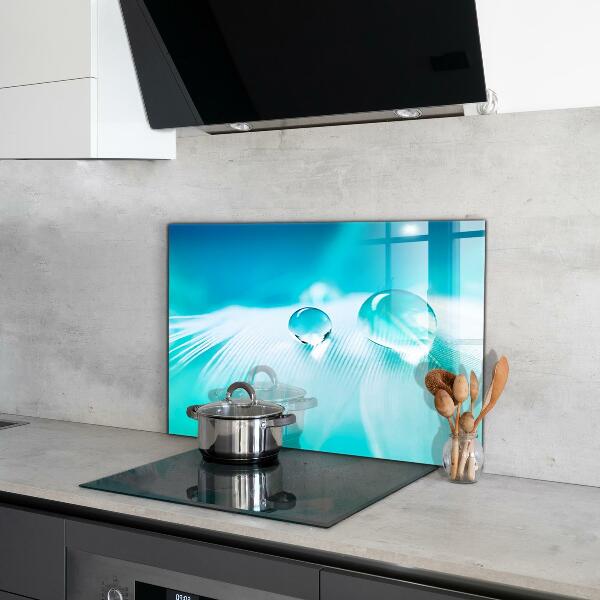 Kitchen splashback Dew on delicate feather