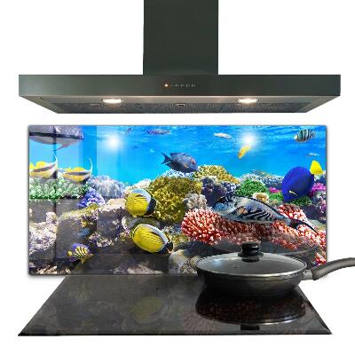 Hob splashback Coral reef red sea
