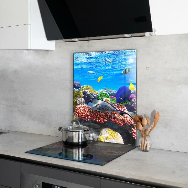 Hob splashback Coral reef red sea