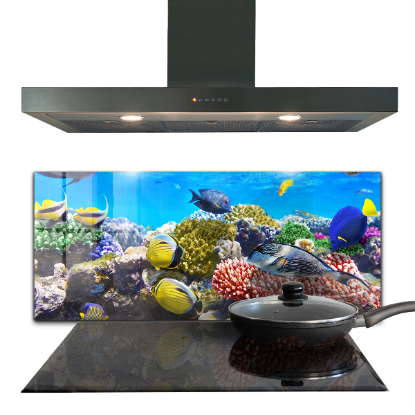 Hob splashback Coral reef red sea